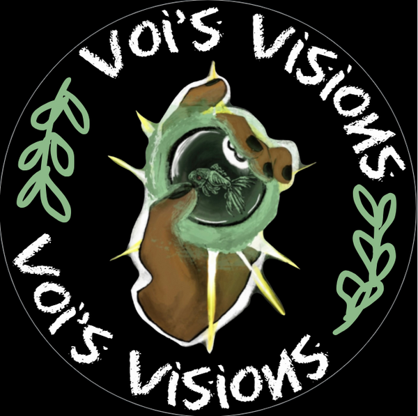 VoisVisions