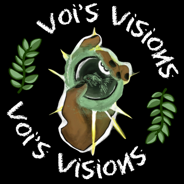 VoisVisions